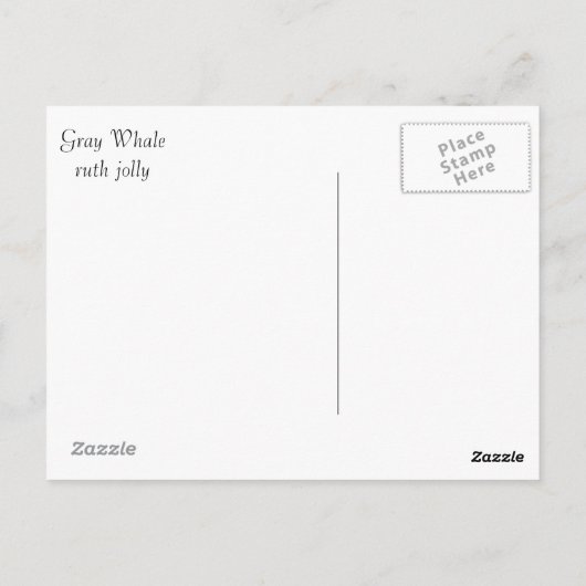 サンディエゴでのクジラのジャンプ ポストカード (裏面)