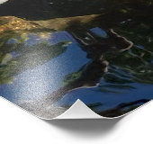 サンディエゴのオレンジと白コイの魚 フォトプリント            (角)