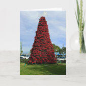 サンディエゴのクリスマスのポインセチアの木 シーズンカード (正面)