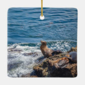 サンディエゴのシールロックアットラジョラビーチ セラミックオーナメント (裏面)