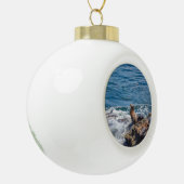 サンディエゴのシールロックアットラジョラビーチ セラミックボールオーナメント (左)