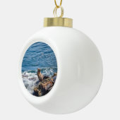 サンディエゴのシールロックアットラジョラビーチ セラミックボールオーナメント (右)