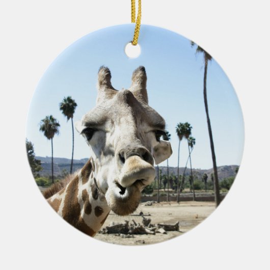 サンディエゴの動物園 セラミックオーナメント (正面)