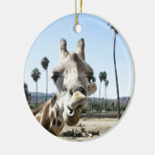 サンディエゴの動物園 セラミックオーナメント (左)