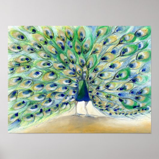 サンディエゴの孔雀2 2013 ポスター (正面)