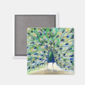 サンディエゴの孔雀2 2013 マグネット (正面/裏面)