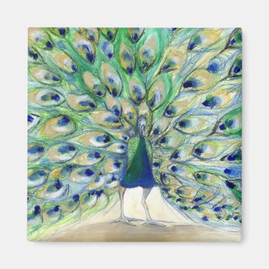 サンディエゴの孔雀2 2013 マグネット (正面)