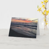 サンディエゴサンセット カード (黄色い花)