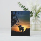 サンディエゴサンセット ポストカード (スタンド正面)