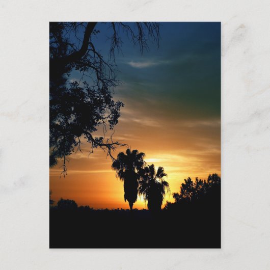 サンディエゴサンセット ポストカード (正面)
