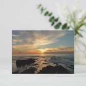 サンディエゴサンセットIカリフォルニアシースケープ (スタンド正面)