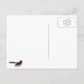 サンディエゴサンセットIIカリフォルニアシースケープ 案内ポストカード (裏面)