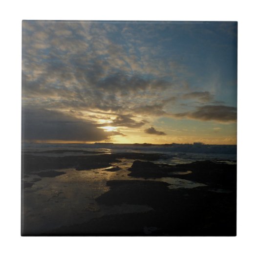 サンディエゴサンセットIIIカリフ素晴らしォルランドスケープ タイル (正面)