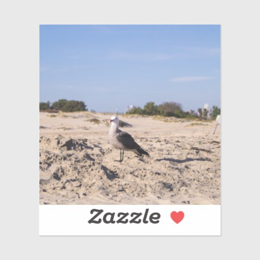 サンディエゴシーガル シール (シート)