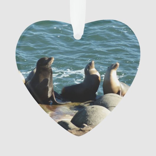 サンディエゴシーライオンズ オーナメント (正面)