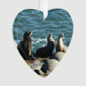 サンディエゴシーライオンズ オーナメント (正面)