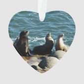 サンディエゴシーライオンズ オーナメント (裏面)