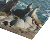 サンディエゴシーライオンズ カッティングボード (角)