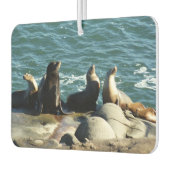 サンディエゴシーライオンズ カーエアーフレッシュナー (左)