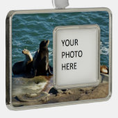 サンディエゴシーライオンズ シルバープレートフレームオーナメント (右)