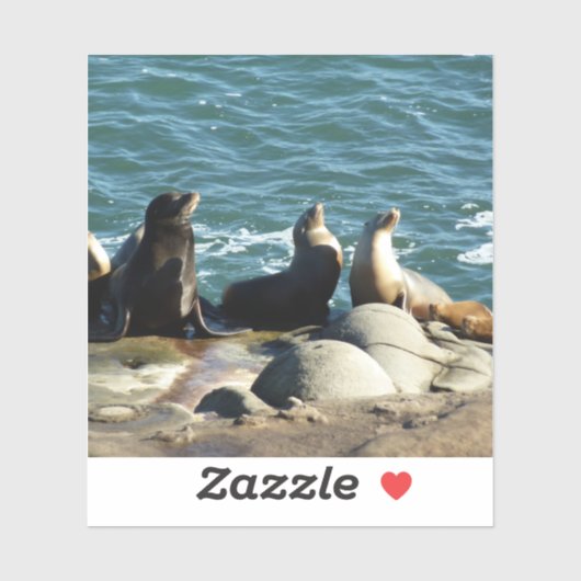 サンディエゴシーライオンズ シール (シート)