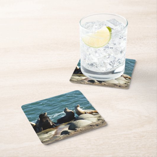 サンディエゴシーライオンズ スクエアペーパーコースター (インサイチュ)