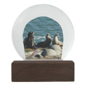 サンディエゴシーライオンズ スノーグローブ (裏面)