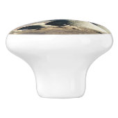 サンディエゴシーライオンズ セラミックノブ (側面)