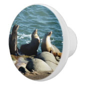 サンディエゴシーライオンズ セラミックノブ (右)