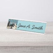 サンディエゴシーライオンズ デスクネームプレート (正面)