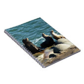 サンディエゴシーライオンズ ノートブック (右側)