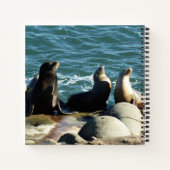 サンディエゴシーライオンズ ノートブック (裏面)