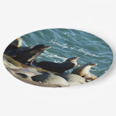 サンディエゴシーライオンズ ペーパープレート (アングル)