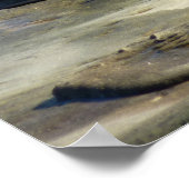 サンディエゴシーライオンズ ポスター (角)