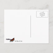 サンディエゴシーライオンズ ポストカード (裏面)