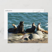 サンディエゴシーライオンズ ポストカード (正面/裏面)