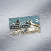 サンディエゴシーライオンズ マグネット名刺 (インサイチュ)