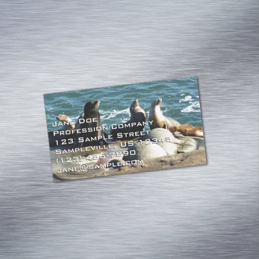 サンディエゴシーライオンズ マグネット名刺 (インサイチュ)