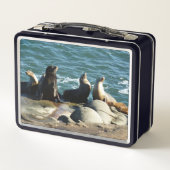 サンディエゴシーライオンズ メタルランチボックス (裏面)