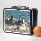 サンディエゴシーライオンズ メタルランチボックス (インサイチュ)