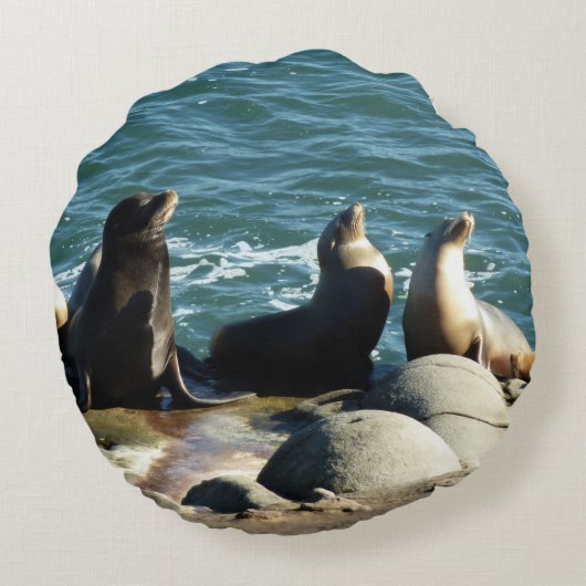 サンディエゴシーライオンズ ラウンドクッション (裏面)