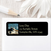 サンディエゴシーライオンズ ラベル (インサイチュ)