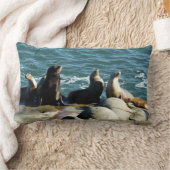 サンディエゴシーライオンズ ランバークッション (ブランケット)