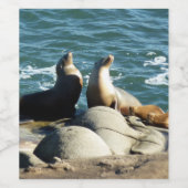 サンディエゴシーライオンズ ワインラベル (シングルラベル)