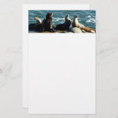 サンディエゴシーライオンズ 便箋 (正面/裏面)