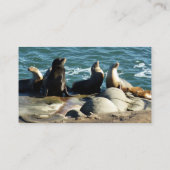 サンディエゴシーライオンズ 名刺 (裏面)