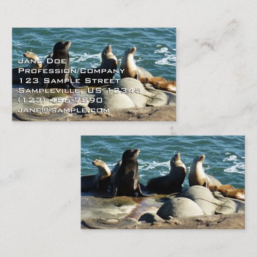 サンディエゴシーライオンズ 名刺 (正面/裏面)