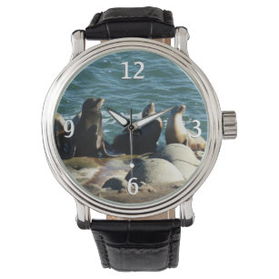 サンディエゴシーライオンズ 腕時計
