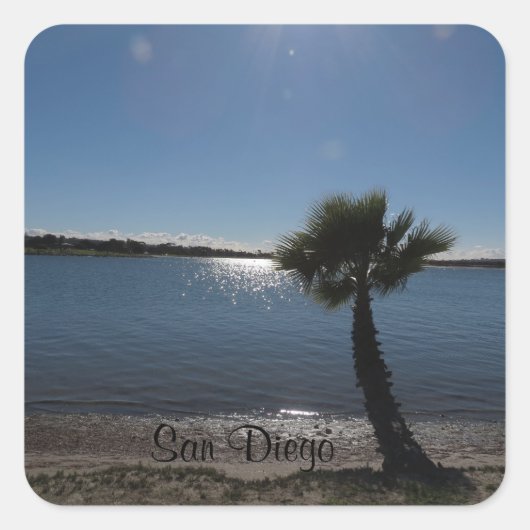 サンディエゴパームツリーステッカー スクエアシール (正面)
