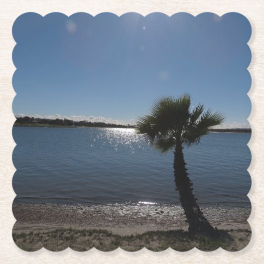 サンディエゴパームツリー紙コースター ペーパーコースター (正面)